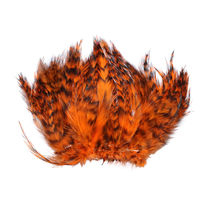 Strung Neck Hackles Grizzly