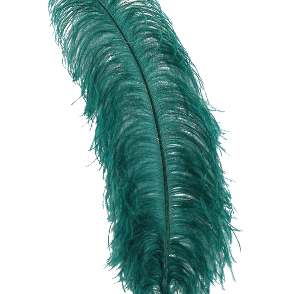 Ostrich Wing Plumes 1st Quality 20"+ — H3 Teal