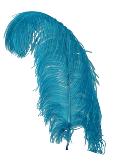 H13 Aqua