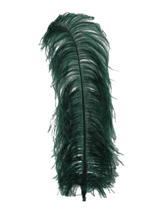 H5 Dark Teal