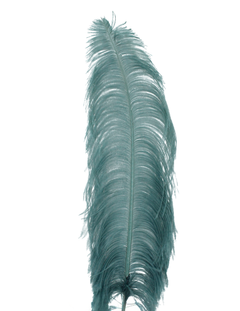 Dusty Teal