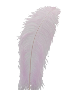 H95 Lilac Cloud