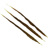 Pheasant Goldentail Overdyed 28-30" — H7 Apple