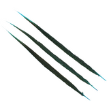 Pheasant Goldentail Overdyed 28-30" — H12 Aqua