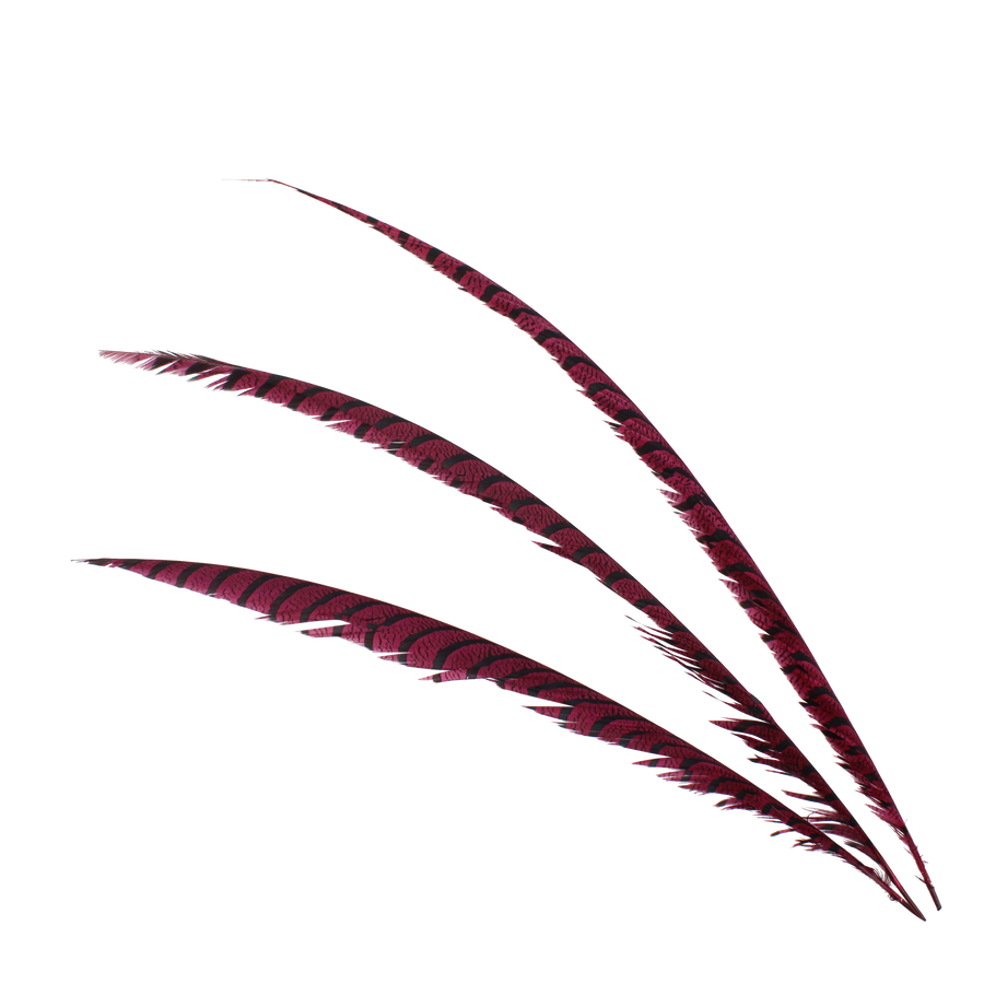 Pheasant Zebra Overdyed 30"+ H57 Cranberry