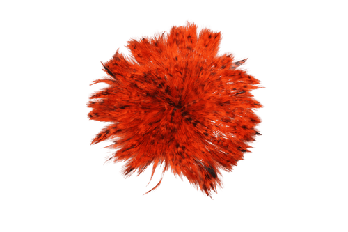Grizzly Hackles