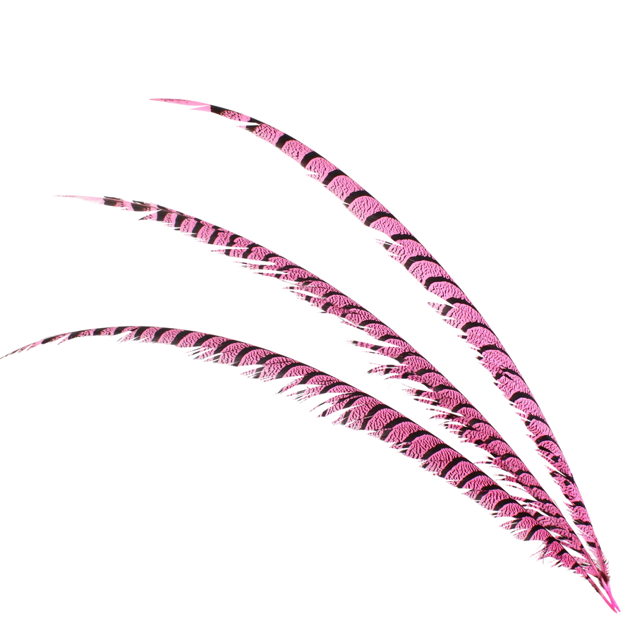 Pheasant Zebra Overdyed 30"+ H67 Hot Pink