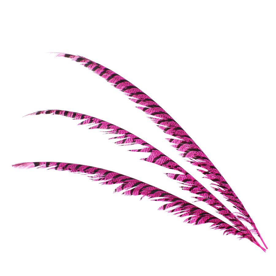 Pheasant Zebra Overdyed 30"+ H69 Hot Pink