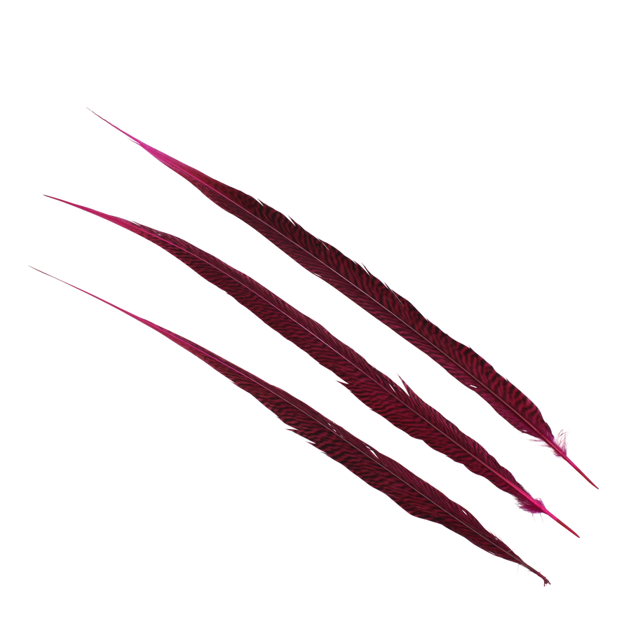 Pheasant Goldentail Overdyed 28-30" H70 Fuschia