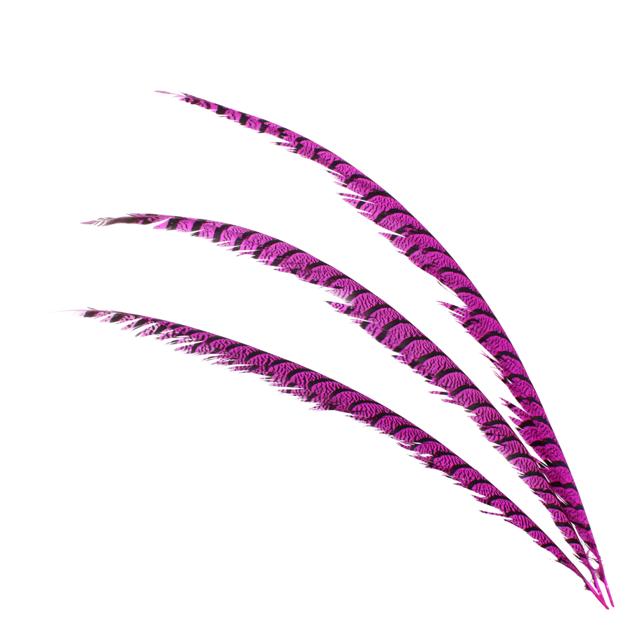 Pheasant Zebra Overdyed 30"+ H70 Fuschia
