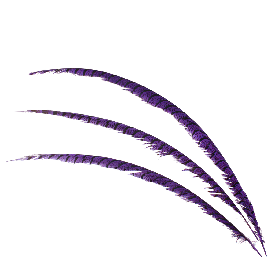 Pheasant Zebra Overdyed 30"+ H76 Purple