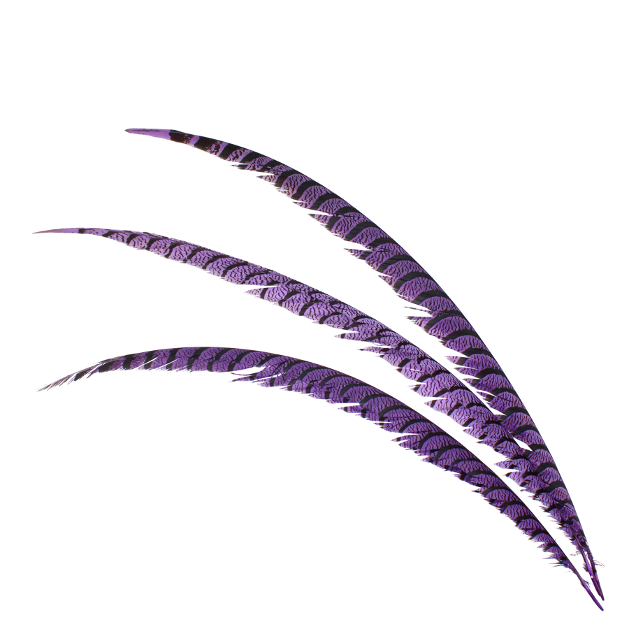 Pheasant Zebra Overdyed 30"+ H89 Lavender