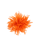 Schlappen Dyed