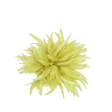 Schlappen Dyed