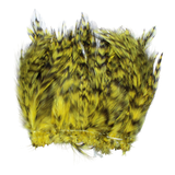 Strung Neck Hackles Grizzly
