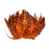 Strung Neck Hackles Grizzly