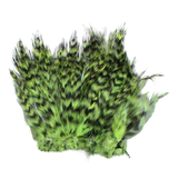 Strung Neck Hackles Grizzly