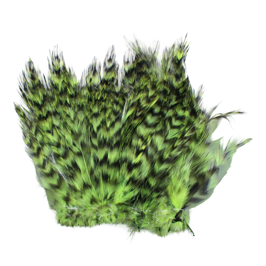 Strung Neck Hackles Grizzly