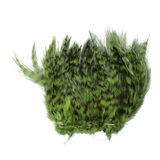 Strung Neck Hackles Grizzly