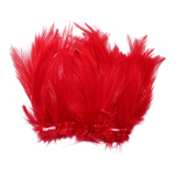 Strung Neck Hackles Dyed