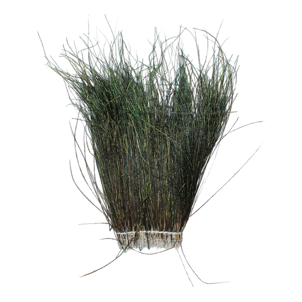 Peacock Herl