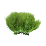 Bugger Marabou