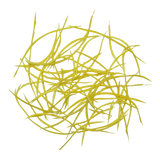 Biots