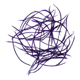 Biots