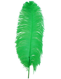 H101 Lime