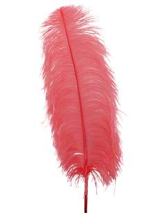 H111 Coral