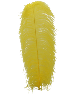 H36 Yellow
