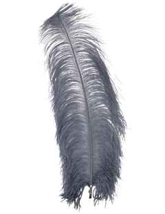 H46 Grey