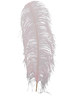 H63 Light Pink