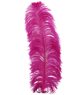 H70 Fuschia
