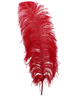 H72 Red