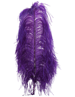 H75 Purple