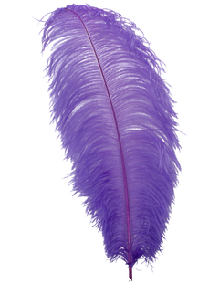 H89 Lavender