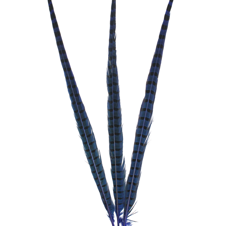 Ringneck Overdyed 20" + H17 Royal Blue