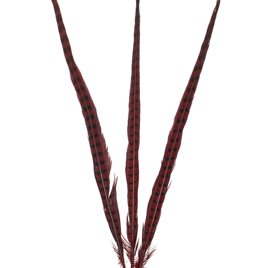 Ringneck Overdyed 20" + H72 Red