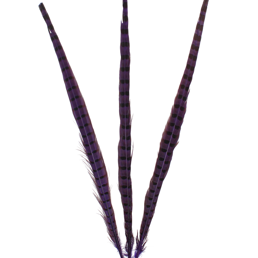 Ringneck Overdyed 20" + H89 Lavender