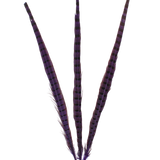 Pheasant Ringneck Overdyed 20"+ — H75 Purple