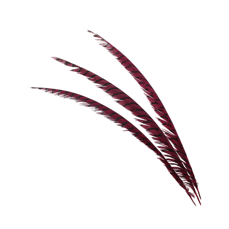 Pheasant Zebra Overdyed 30"+ H103 Wine
