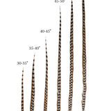 Pheasant Reeves Natural 18-20"