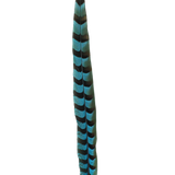 Pheasant Reeves Overdyed 18-20" — H12 Aqua