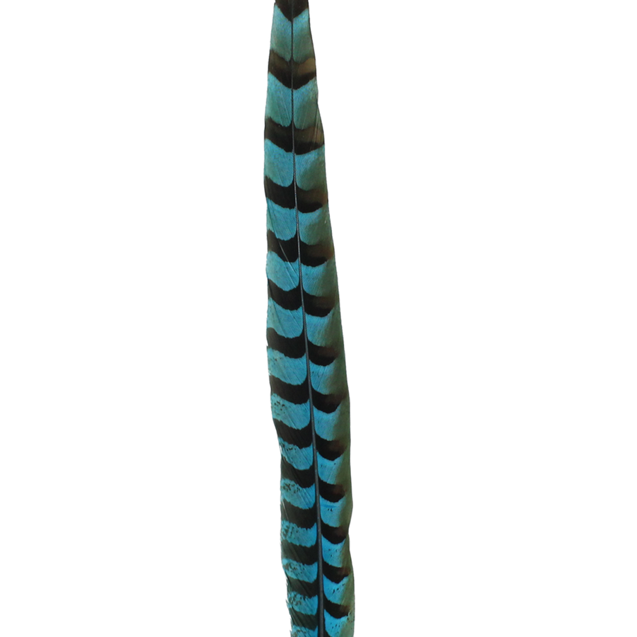 Pheasant Reeves Overdyed 18-20" H12 Aqua