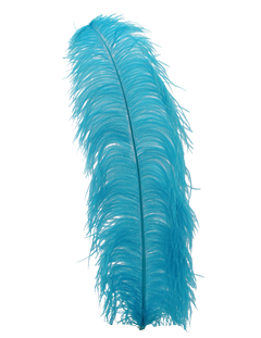 H12 Aqua