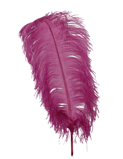 H51 Mauve