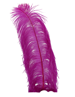 H52 Grape