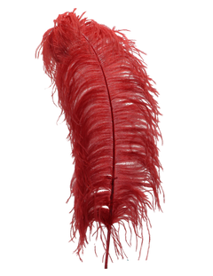 H53 Swiftie Red