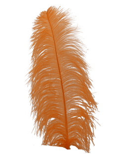 H59 Light Orange